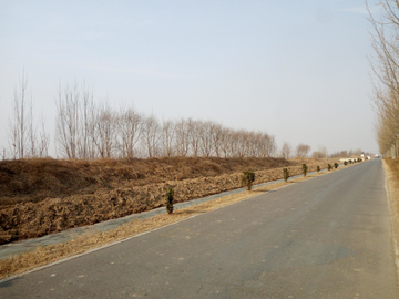 道路场景