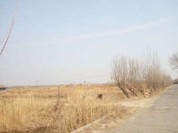 农村场景