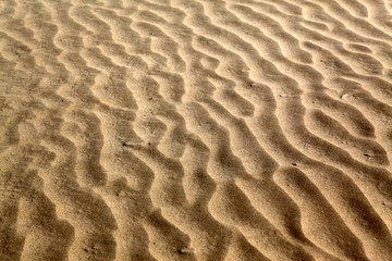沙漠 沙