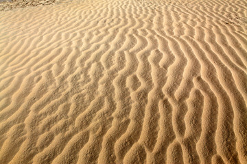 沙漠 沙子纹理