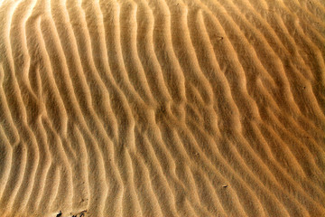 沙漠 沙子纹理 戈壁 沙