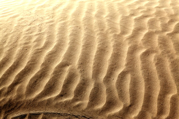 沙漠 沙子纹理