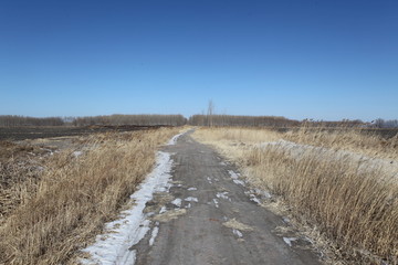 北大荒 黑土地