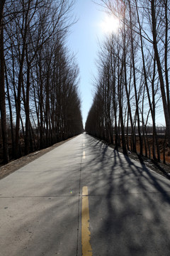 田间路 公路