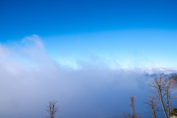 高山云雾