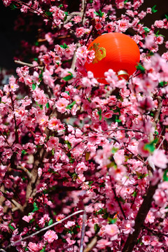 红灯笼 春节 文化 喜庆 祝福