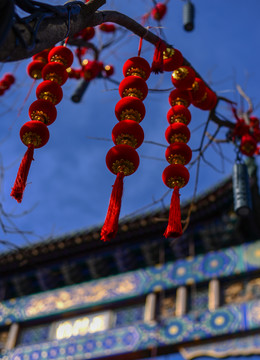 红灯笼 春节 文化 喜庆 祝福