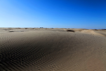 沙漠 沙子纹理 戈壁