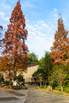 明城墙秋景