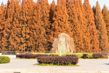 南京白马公园秋色