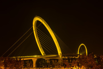 南京眼步行桥夜景