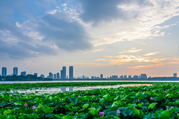 南京玄武湖日落