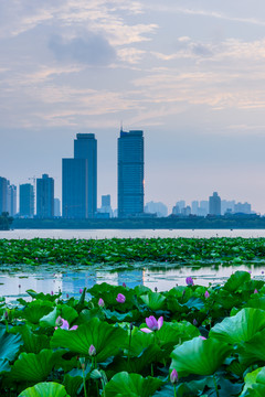 南京玄武湖日落