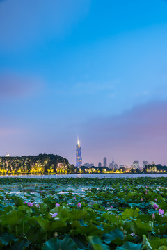 南京玄武湖日落
