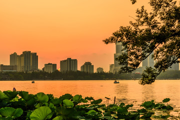 南京玄武湖夜色