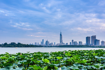 南京玄武湖风光