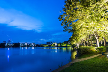 南京玄武湖夜景