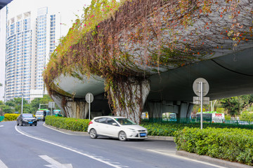 厦门BRT高速路