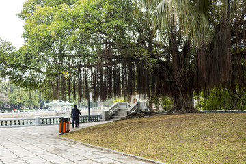 厦门中山公园 厦门 中山公园