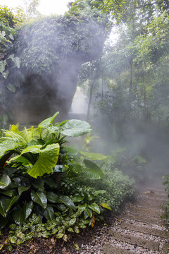 雨林体验区