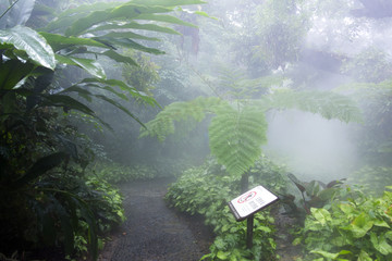 热带雨林植物园区