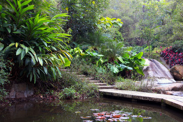 厦门植物园雨林体验区