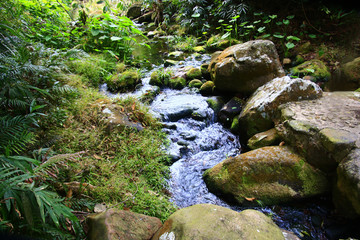 钦州八寨沟风光 山泉