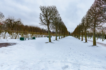 夏宫上花园雪景