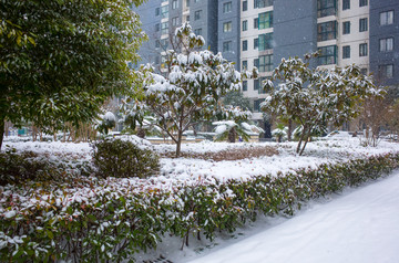 小区雪景