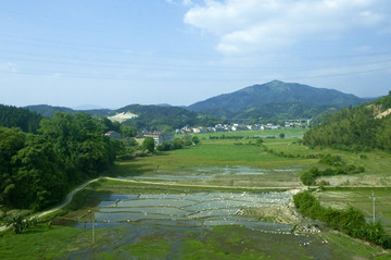 田园田野