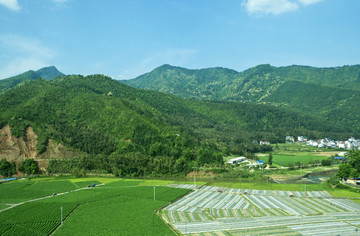 田园大地