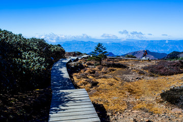 云南轿子雪山景区