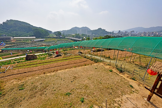 深圳凤凰山 深圳凤凰山农趣谷