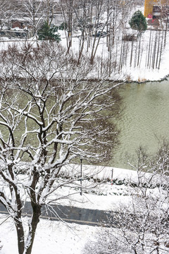 护城河雪景