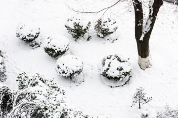 城墙下雪景