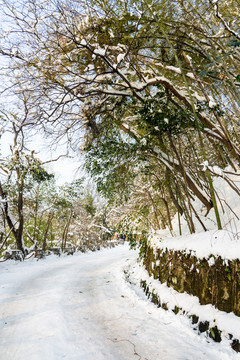 紫金山山道雪景