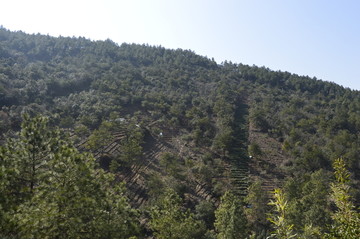 阳山风景