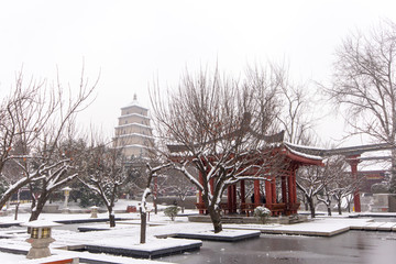 大唐慈恩寺遗址公园雪景