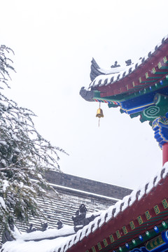 西安广仁寺与西安城墙