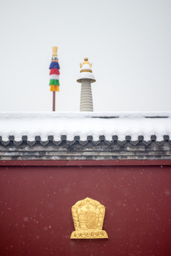 西安广仁寺雪景