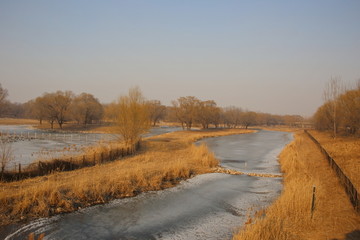 结冰的小河冬景