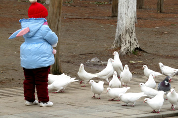 儿童与鸽子
