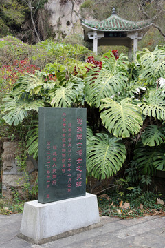澎湖阵亡将士之墓