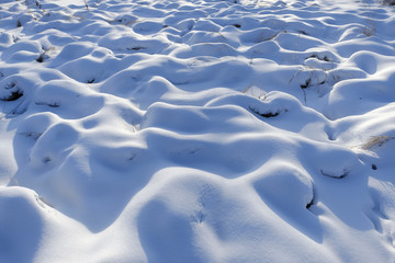 冬日湿地雪景