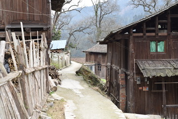农村 农场 屋顶 房子 木屋