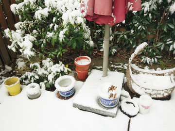 花园雪景