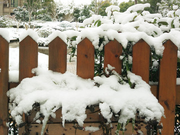 花园雪景