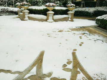 花园雪景