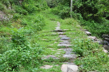 山路摄影