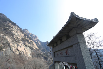 泰山风光 泰山对松山